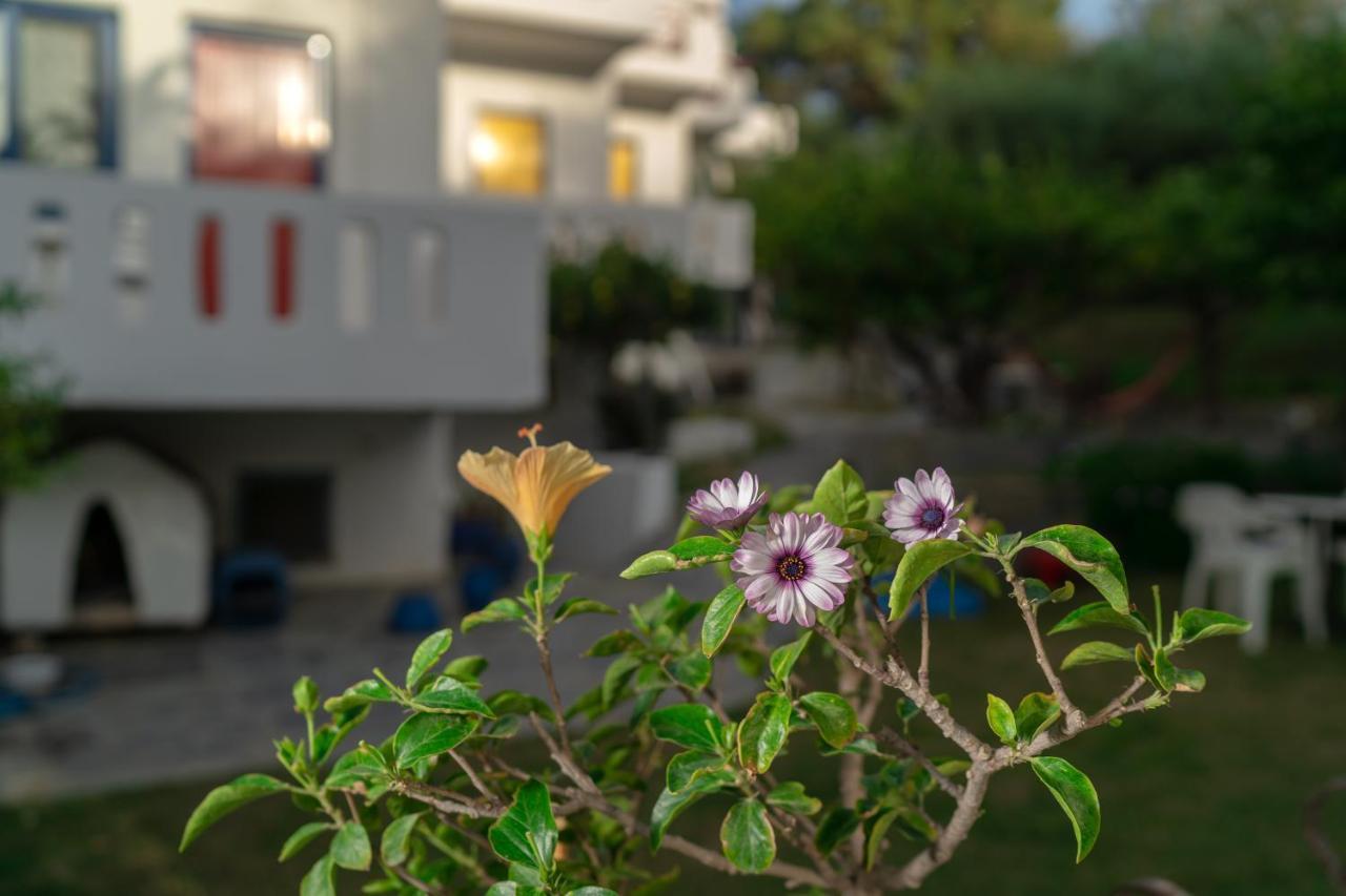 Plakias Bay Hotel Ngoại thất bức ảnh